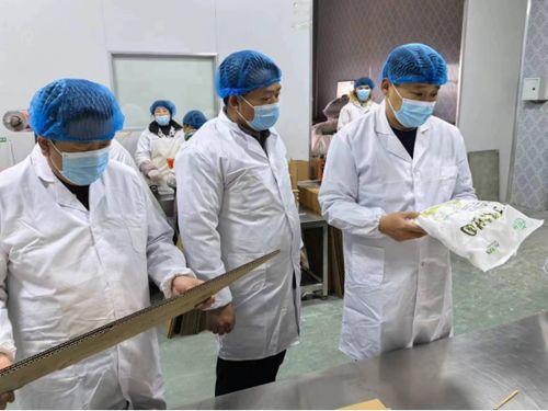 河北大名縣市場監管局開展食品生產企業節后復工復產專項檢查